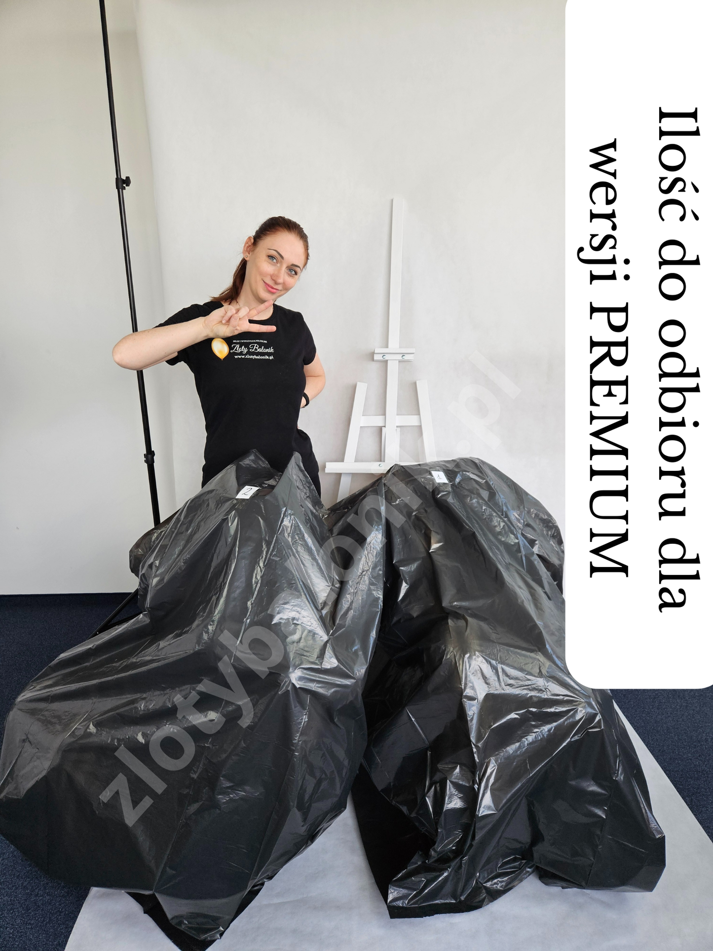Girlanda balonowa na SZTALUDZE z personalizowaną tabliczką – Warszawa