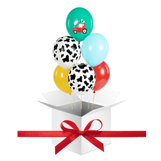 Balony z Helem w Pudełku Prezentowym – Farma