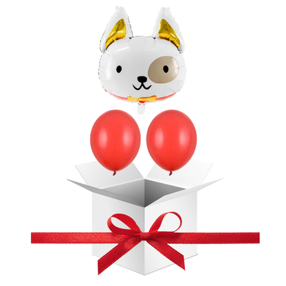 Balony z Helem w Pudełku Prezentowym – Piesek