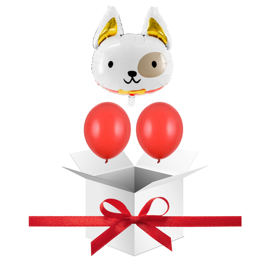Balony z Helem w Pudełku Prezentowym – Piesek