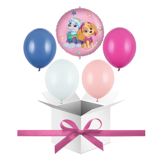 Balony z Helem w Pudełku Prezentowym – Psi Patrol Skye i Everest