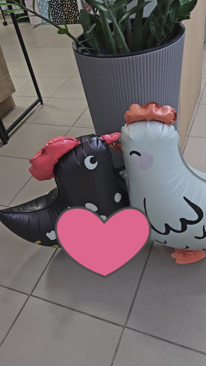 Balony z Helem w Pudełku Prezentowym – Farma: Kurka